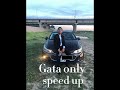 Gata only speed up
