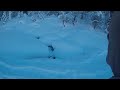 Snowshoeing in Donner SP