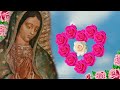 ❤️SANTO ROSARIO DE HOY LUNES 29 DE JULIO DE 2024🌷Rosario a la Virgen  María🌹Yo Amo❤️Mi Fe Católica
