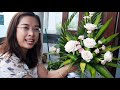 Cắm hoa bàn thờ bình hoa Cẩm Chướng 🌸 Hướng dẫn Cắm Hoa