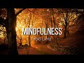 Mindfulness - Meditação Guiada: 25 minutos
