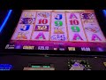 BUFFALO GOLD SLOT MACHINE...SOME LOW ROLLIN PLAY TIME.