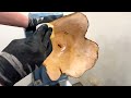 Woodturning - Apple Wings