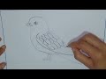 Easy Bird Drawing Tutorial: Pencil Sketch Step-by-Step