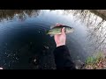 Full Day Relaxing Multispecies Fishing With A Surprise UNUSUAL Catch!