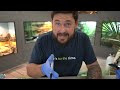 Removing Turtles from a 5,000 Gallon Backyard Pond! + more