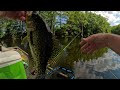 Dog days of Summer Crappie fishing  - Lots of Fish, Tips and Tricks