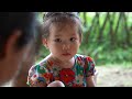 Harvest Cassava Roots Cook for pigs - Cooking - Puppy - Processing Sour Cassava Leaves | Lý Phúc An