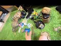 Bug out/SHTF, Survival Assault pack layout