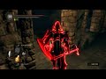 Random Invader Drip check, hand over your papers! - Dark Souls Remastered PvP