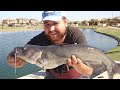 How Catfish React to PUNCH BAIT Underwater! (Underwater Catfish Footage)