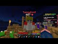 how i became invincible (hypixel skyblock)