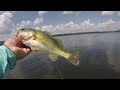 Fishing Livebait THIS WAY Makes Catching Fish Easy!