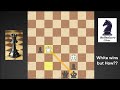 Beautiful Chess Puzzle with a 
