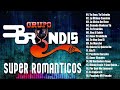 GRUPO BRYNDIS 30 GRANDES ÉXITOS - LO MEJOR DE BRYNDIS