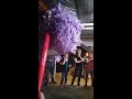 Cinco de Mayo 2018 Pinata Smash