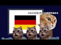 猫ミームで分かるヒトラー首相就任までのドイツの歴史