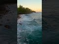 Pacific Serenity of Hawaii 4K - Stress Relieving Vertical Nature Screensaver + Crashing Waves Sound