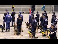 《警察犬部隊行進》令和6年千葉県警察年頭視閲