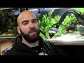 The South America Tank: EPIC Aquascape Tutorial w/ Electric Blue Acara