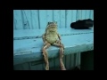 Ever Wonder?... What the Sitting Frog was Thinking?