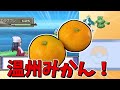 【総集編】ポケモンプラチナ色違いの旅【ゆっくり実況】