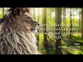 Aslan's Captivating Wisdom Quotes that Will Enchant Your Soul!