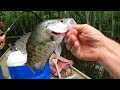 Bream fishing in the Cypress Tupelo swamp - Big bluegill and red ear