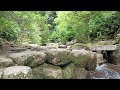 【自然音】宮島・原始林から湧き出る清流で瞑想を／Miyajima・Meditate by the clear stream that springs from the primeval forest