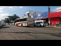 Volvo 8300 - Autobuses Fletes y Pasajes