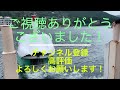 【加賀前田家正室解説】前田家と徳川家の婚姻関係がすごい！加賀百万石を違う角度から検証！