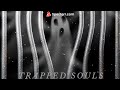 TRAPPED SOULS (PHONK)