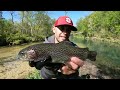 Trout Fishing Missouri's Montauk State Park