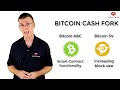 What is Bitcoin Cash? - A Beginner’s Guide