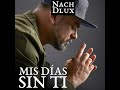 Mis Días Sin Ti