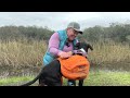 WATCH THIS to Make the Most of Hiking With Your Dog!