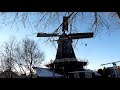 IJspret bij Molen de Ster Leidsche Vaart Utrecht 13 - 02 - 2021