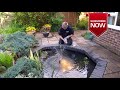 Fish Pond Renovation | A 25 year old uk pond gets a facelift