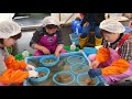 Japan Sea Urchin Farming - Sea Urchin Harvest and Processing - Sea Urchin Raising indoor