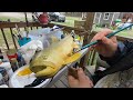 Wood Carving A Brown Trout Part 5 Airbrushing Base Colors