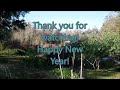 Deep South Winter freeze. Will my plants recover? Watch and see!#shedwarsglobalgardeninghomesteading