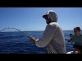 Florida Keys GIANT Snapper catch clean cook!