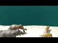 Indian elefant baby rescue stop motion