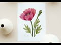 watercolor poppies made easy! watercolor tutorial for procreate // paint a poppy flower in Procreate