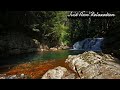 Relaxing nature sounds | waterfall sounds for sleeping,soothing sounds of birds for relaxation