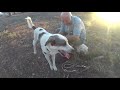 Thanasis and his dog