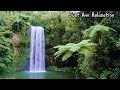 Sounds of forest waterfall & birds singing | 3 hours nature sounds for relaxation and deep sleep 😴