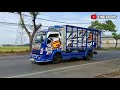 hunting Truk dan bus di jalan raya Pantura, ada truk tangki truk tronton Truk trailer & truk oleng