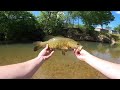 CATCHING MY BIGGEST SMALLMOUTH EVER! Creek Fishing ( crystal clear creek)