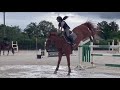 Welcome my channel, Gaby Equestrian Miami,  please subscribe! 😘